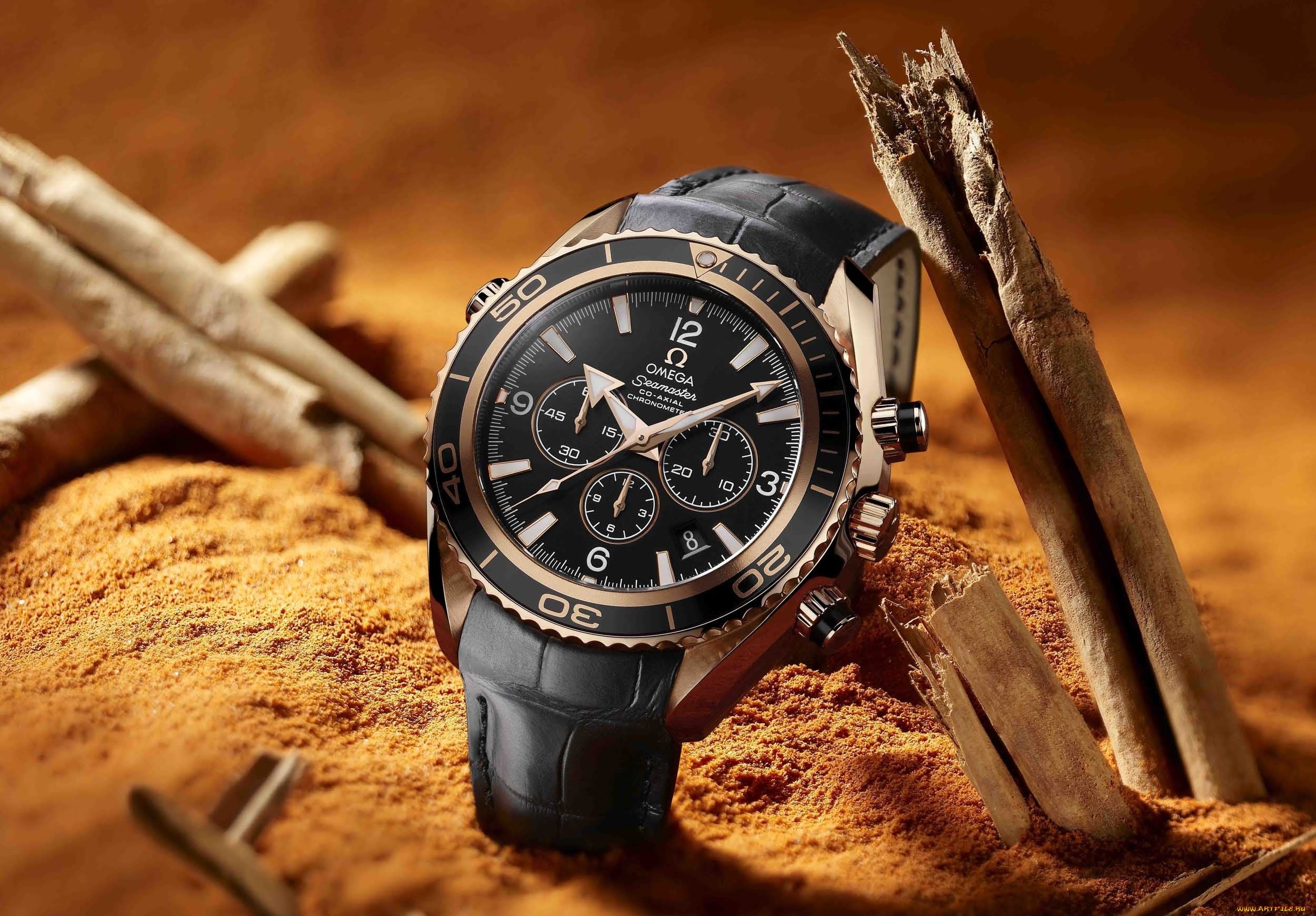 Affordable Watches